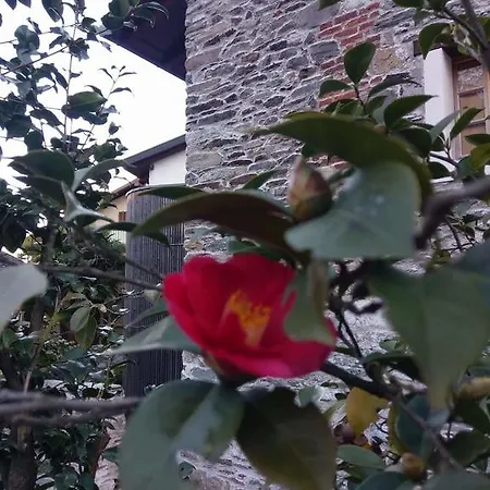 Lejlighed Corte Delle Camelie Gambarogno